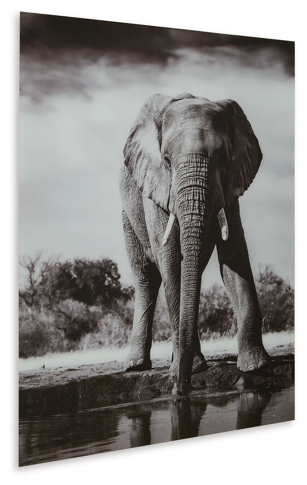 Glinyard - Wall Art - Black / White