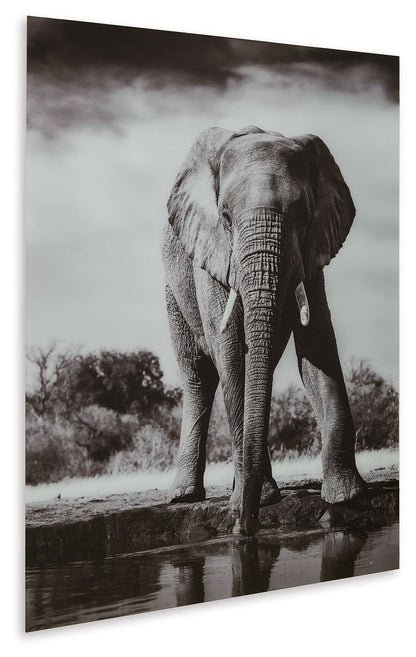 Glinyard - Wall Art - Black / White