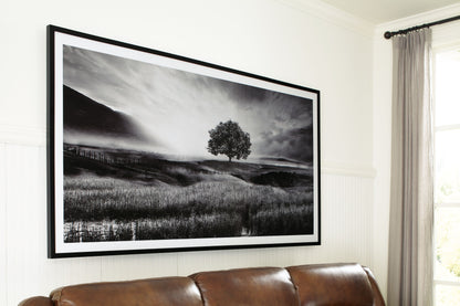 Deborland - Wall Art - Black / White