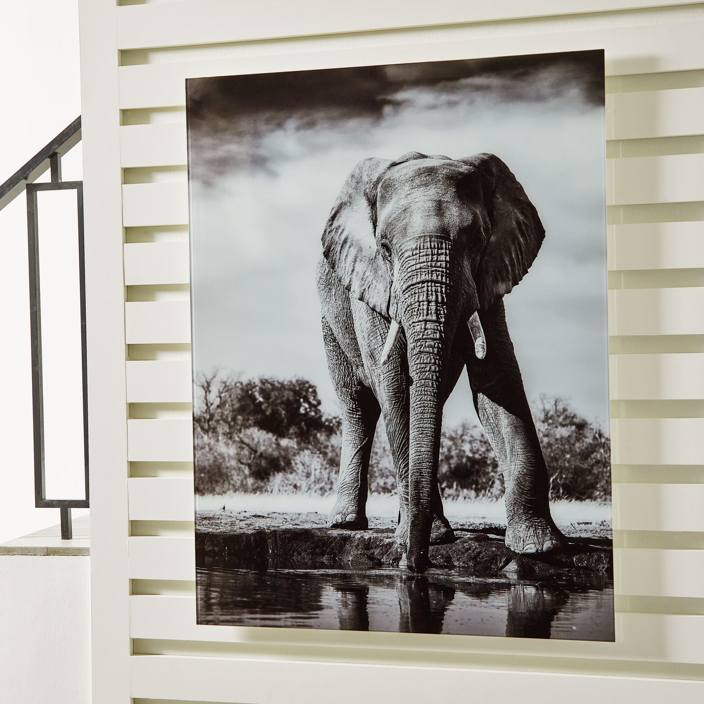 Glinyard - Wall Art - Black / White